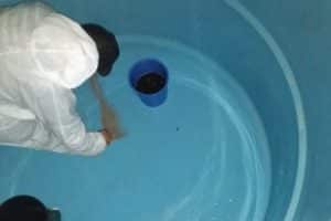 a importância da limpeza da caixa d'água de casa e do condomínio hidroclean porto alegre rs